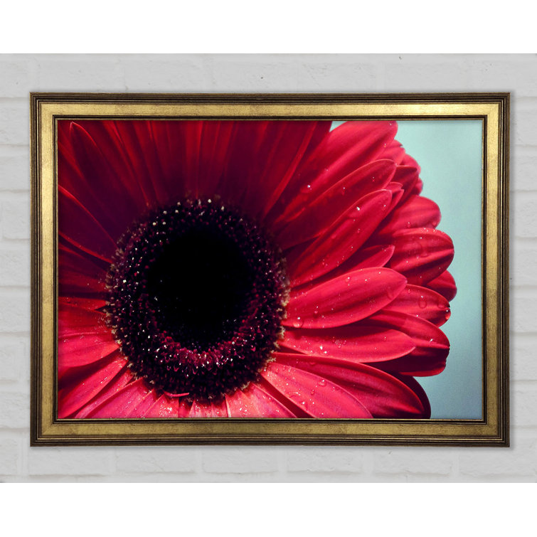 Ebern Designs Gerbera Flower Deep Red Single Picture Frame Art Prints